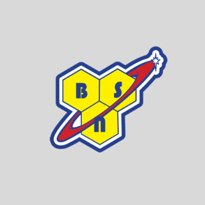 BSN Logo